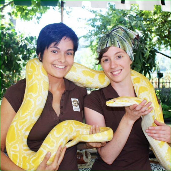 creature teachers - Albany Public Library